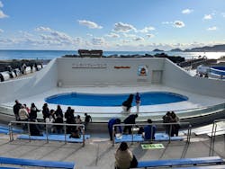 鴨川シーワールドに投稿された画像（2026/1/2）