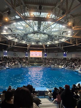 マクセル アクアパーク品川に投稿された画像（2026/1/2）