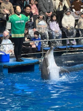 マクセル アクアパーク品川に投稿された画像（2026/1/2）