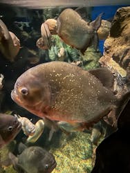 マクセル アクアパーク品川に投稿された画像（2026/1/2）