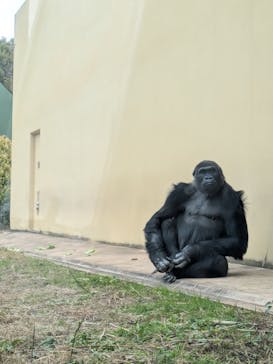 名古屋市東山動植物園に投稿された画像（2026/1/2）