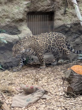 名古屋市東山動植物園に投稿された画像（2026/1/2）