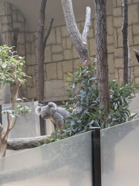 名古屋市東山動植物園に投稿された画像（2026/1/2）