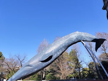 特別展「大絶滅展―生命史のビッグファイブ」に投稿された画像（2026/1/2）