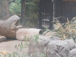 恩賜上野動物園に投稿された画像（2026/1/2）