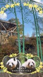 恩賜上野動物園に投稿された画像（2026/1/2）