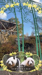 恩賜上野動物園に投稿された画像（2026/1/2）