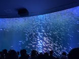 名古屋港水族館に投稿された画像（2026/1/2）