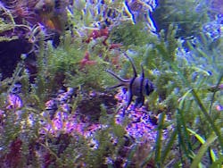 名古屋港水族館に投稿された画像（2026/1/2）