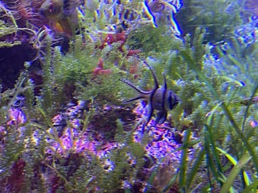 名古屋港水族館に投稿された画像（2026/1/2）