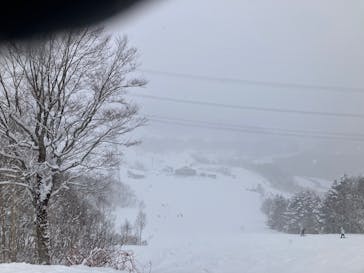 かぐらスキー場に投稿された画像（2026/1/2）