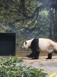 恩賜上野動物園に投稿された画像（2026/1/2）