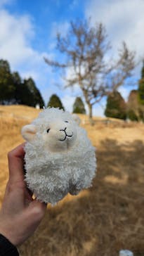 神戸市立六甲山牧場に投稿された画像（2026/1/2）