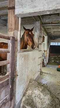 神戸市立六甲山牧場に投稿された画像（2026/1/2）