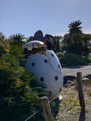 伊豆ぐらんぱる公園に投稿された画像（2026/1/2）