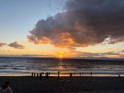 新江ノ島水族館に投稿された画像（2026/1/2）