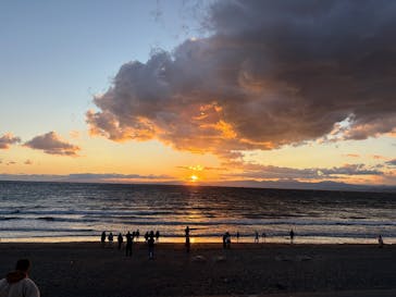 新江ノ島水族館に投稿された画像（2026/1/2）
