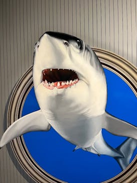 とりっくあーとぴあ日光に投稿された画像（2026/1/2）