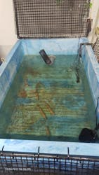 カワスイ 川崎⽔族館に投稿された画像（2026/1/2）