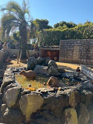 伊豆シャボテン動物公園に投稿された画像（2026/1/2）