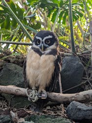伊豆シャボテン動物公園に投稿された画像（2026/1/2）