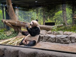 恩賜上野動物園に投稿された画像（2026/1/2）