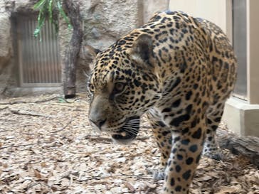名古屋市東山動植物園に投稿された画像（2026/1/2）