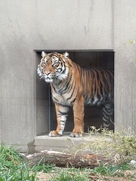 名古屋市東山動植物園に投稿された画像（2026/1/2）