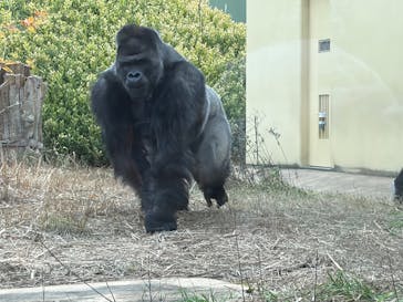 名古屋市東山動植物園に投稿された画像（2026/1/2）