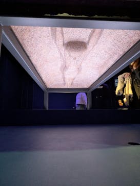 ACN ラムセス大王展 ファラオたちの黄金に投稿された画像（2026/1/2）