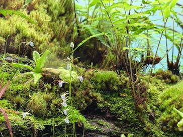 AOAO SAPPOROに投稿された画像（2026/1/2）