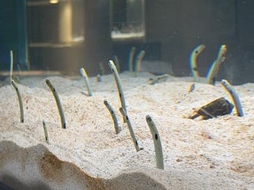 AOAO SAPPOROに投稿された画像（2026/1/2）