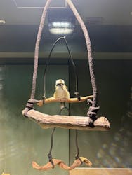 カワスイ 川崎⽔族館に投稿された画像（2026/1/2）