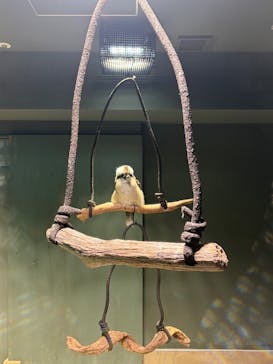 カワスイ 川崎⽔族館に投稿された画像（2026/1/2）