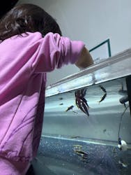 カワスイ 川崎⽔族館に投稿された画像（2026/1/2）