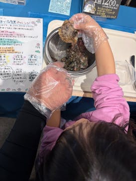 カワスイ 川崎⽔族館に投稿された画像（2026/1/2）