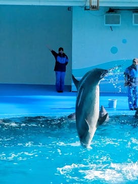 南知多ビーチランド＆南知多おもちゃ王国に投稿された画像（2026/1/2）