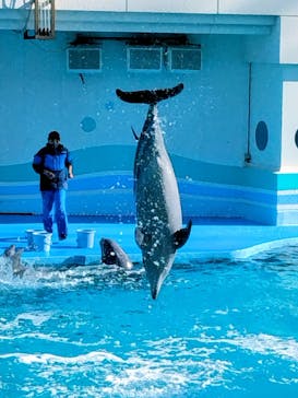 南知多ビーチランド＆南知多おもちゃ王国に投稿された画像（2026/1/2）