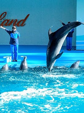 南知多ビーチランド＆南知多おもちゃ王国に投稿された画像（2026/1/2）