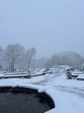 とっとり花回廊に投稿された画像（2026/1/2）