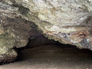 CHOROに投稿された画像（2026/1/2）