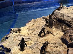 すみだ水族館に投稿された画像（2026/1/2）