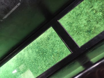 川平マリンサービスに投稿された画像（2026/1/2）