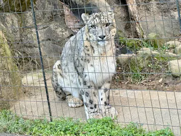 多摩動物公園に投稿された画像（2026/1/2）