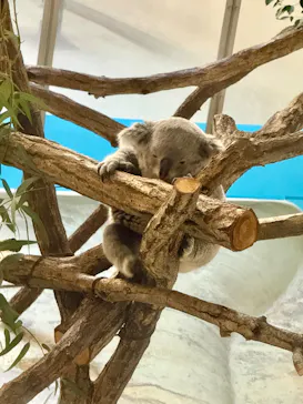 多摩動物公園に投稿された画像（2026/1/2）