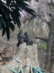 恩賜上野動物園に投稿された画像（2026/1/2）