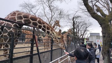 宇都宮動物園に投稿された画像（2026/1/2）