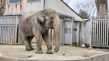 宇都宮動物園に投稿された画像（2026/1/2）