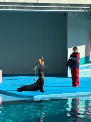 南知多ビーチランド＆南知多おもちゃ王国に投稿された画像（2026/1/2）