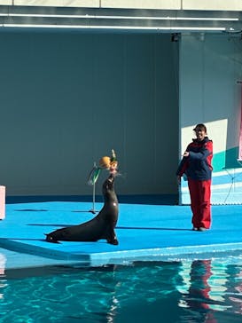 南知多ビーチランド＆南知多おもちゃ王国に投稿された画像（2026/1/2）